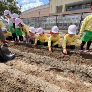 🌷年中組・年少組の様子🌷（畑、園庭遊び）